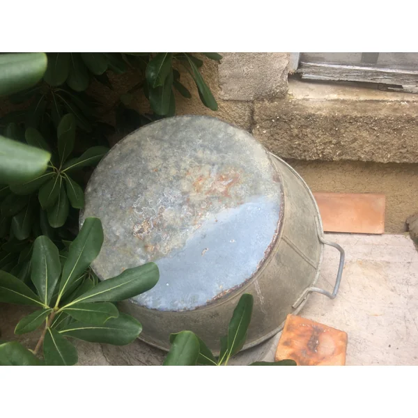 Apothyzinc nettoyant désoxydant naturel Spécial zinc