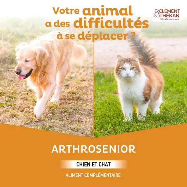 Arthrosenior Maintien de la Mobilité Articulaire - Chiens et Chats, 60 Comprimés