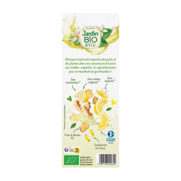 Boisson Citron Gingembre