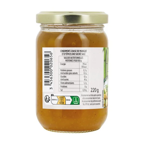 Chutney de Mangue