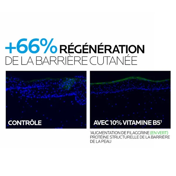 CICAPLAST B5 - Sérum Ultra Réparateur Hydratant Régénérant - Visage - Tous Types de Peaux, 30ml