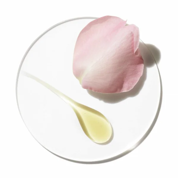 Clinique - Aromatics Elixir Parfum