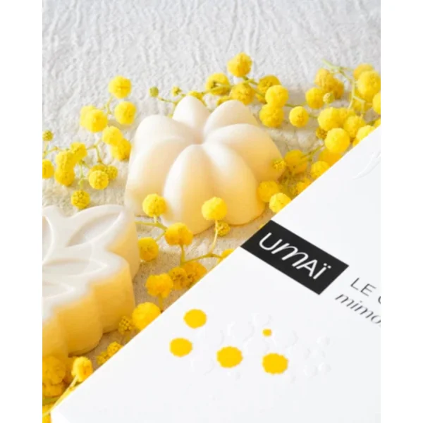 Coffret - Découverte Umaï (Mimosa)