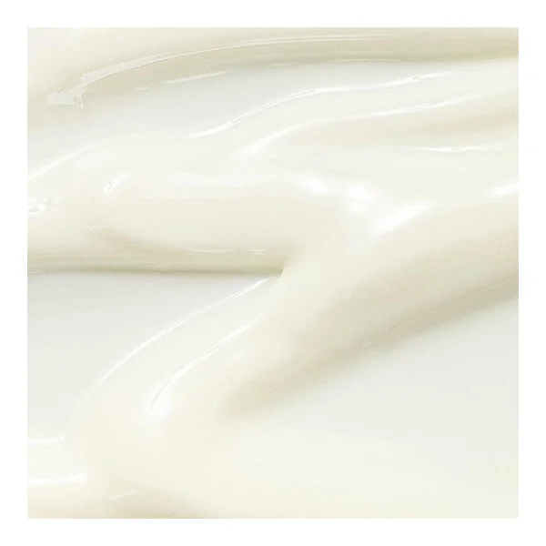 Crème Solaire Réparatrice Riz et Probiotiques SPF50+ - Visage et Corps - Tous Types de Peaux, 50ml