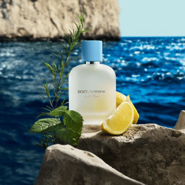 Dolce & Gabbana - Light Blue pour Homme Eau de Toilette