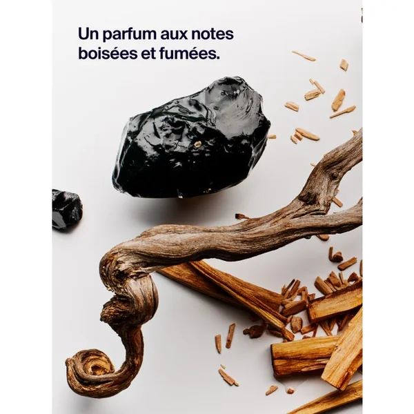 Déodorant Protection 12h Bois de Santal et Labdanum Stick - Tous Types de Peaux, 50ml
