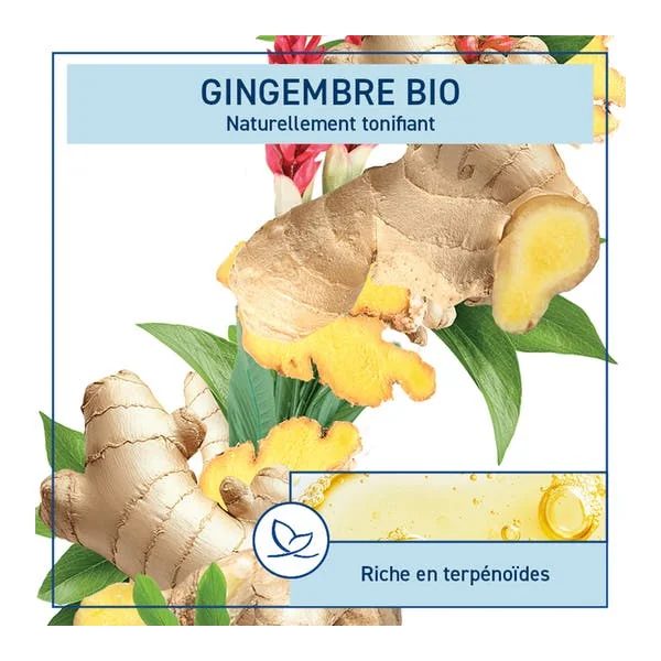 Gel douche Gingembre
