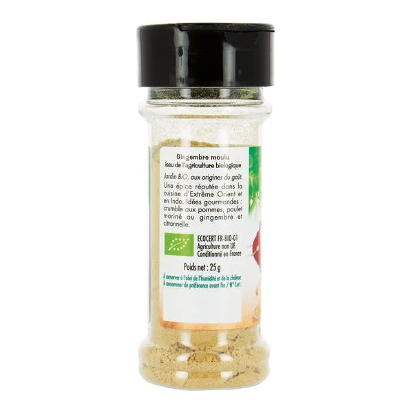 Gingembre moulu - bio