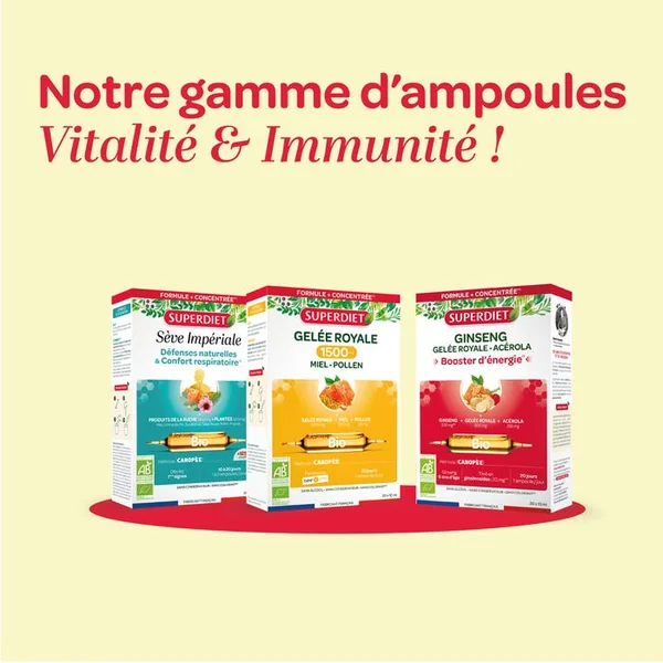 GINSENG GELÉE ROYALE ACÉROLA BIO - Booster d'Énergie, 20 Ampoules de 10ml