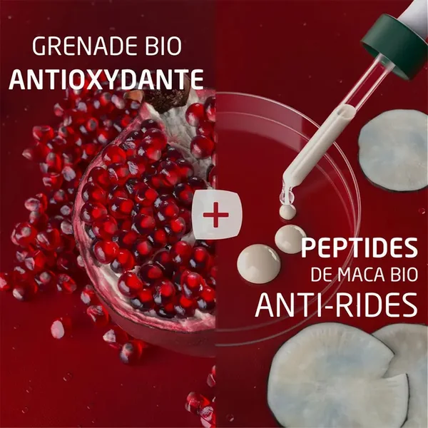 GRENADE ET MACA - Crème de Jour Raffermissante Bio - Tous Types de Peaux,40ml