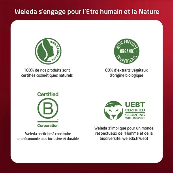 GRENADE ET MACA - Crème de Jour Raffermissante Bio - Tous Types de Peaux,40ml