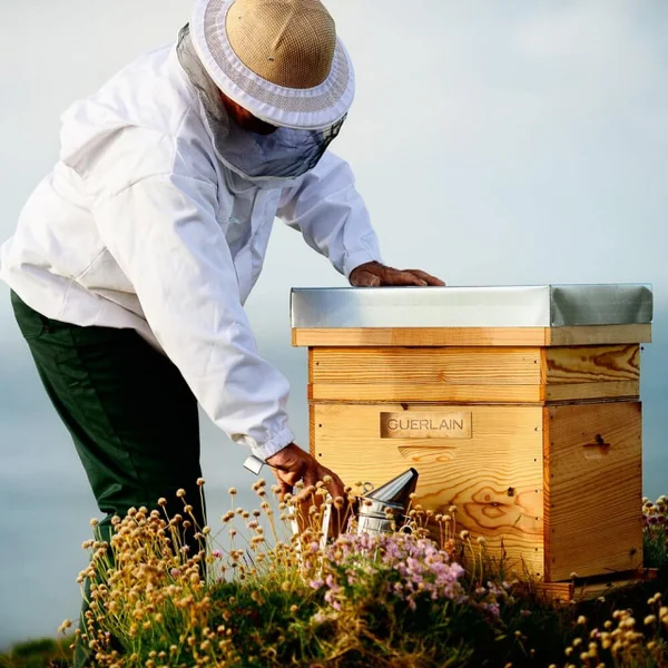 Guerlain - Abeille Royale Black Bee Honey Balm Extra-Nutrition Peaux sèches et fragilisées