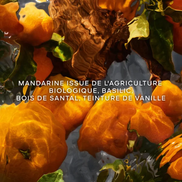 Guerlain - Aqua Allegoria Coffret Mandarine Basilic Forte Eau de Parfum avec miniature et lait corps