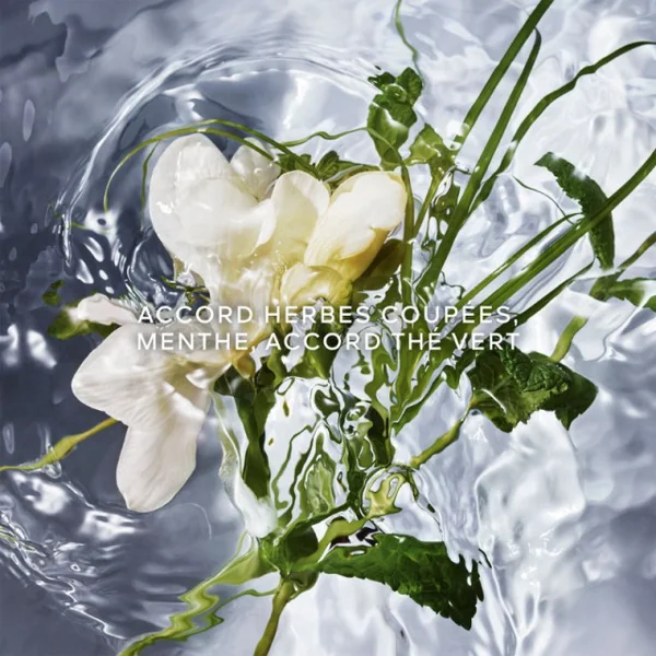 Guerlain - Aqua Allegoria Herba Fresca Eau de Toilette