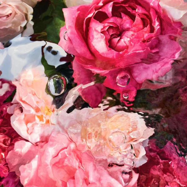 Guerlain - Aqua Allegoria Rosa Rossa Eau de Toilette