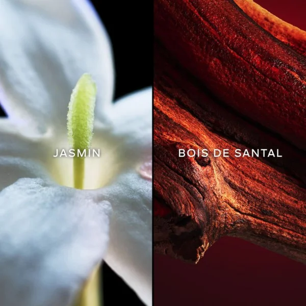 Guerlain - Samsara Eau de Toilette