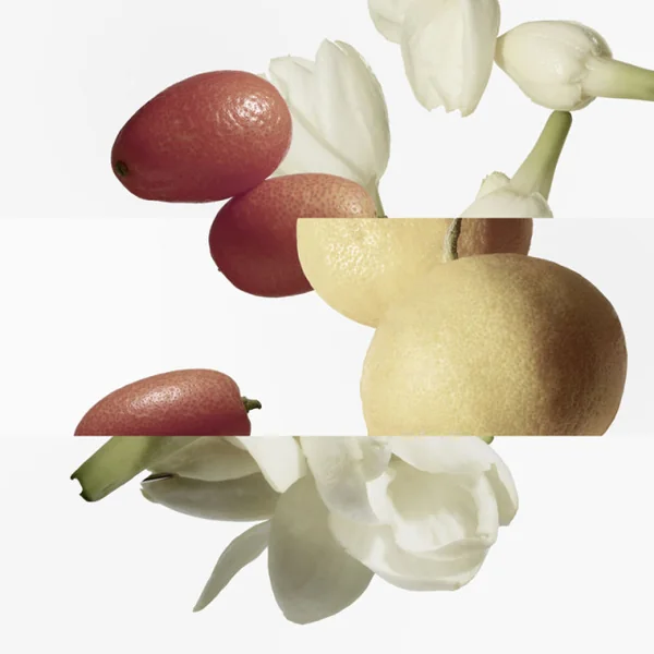 Hermès - Le Jardin de Monsieur Li Eau de Toilette