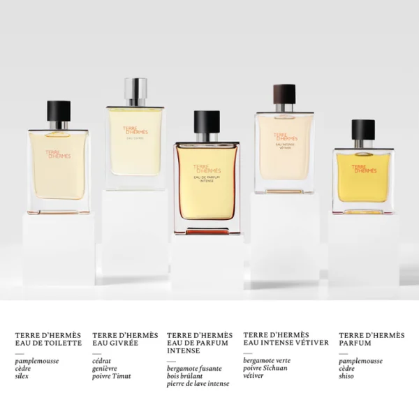 Hermès - Terre d'Hermès - Eau Intense Vétiver Eau de Parfum