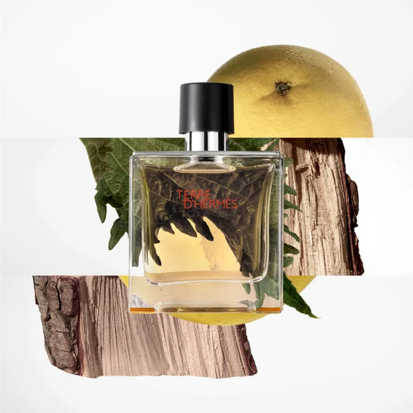 Hermès - Terre d'Hermès Parfum