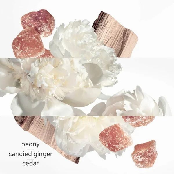 Hermès - Twilly d'Hermès Eau Ginger - Eau de Parfum
