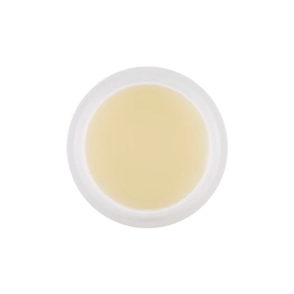 Honey & Milk Lip Sleeping Pack