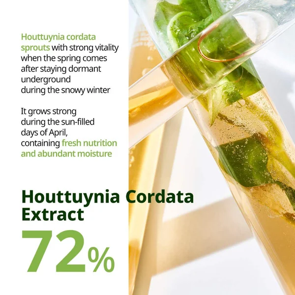 Houttuynia Cordata Calming Mask