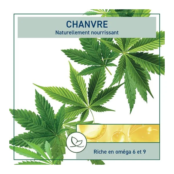 Huile de Chanvre - Equilibrante - 100ml