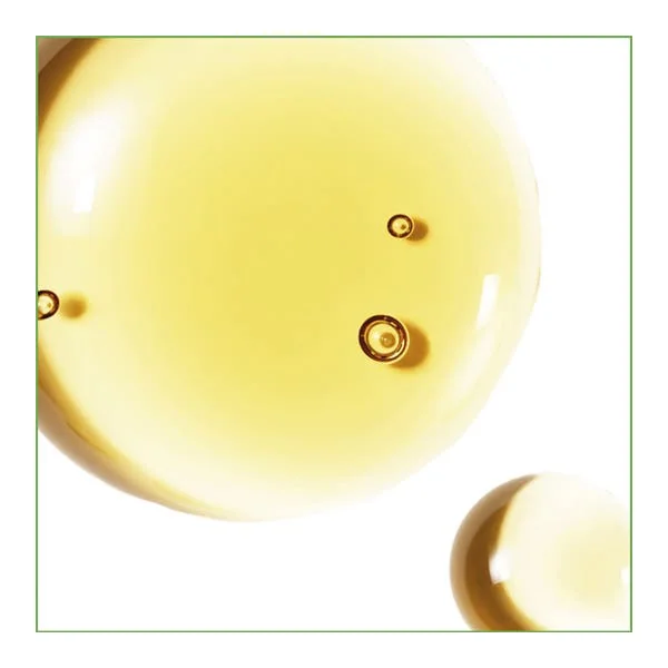 Huile de Jojoba BIO