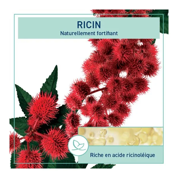 Huile de Ricin BIO - 100ml