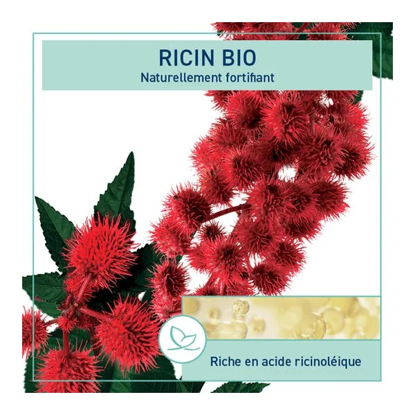 Huile de Ricin BIO - 250ml