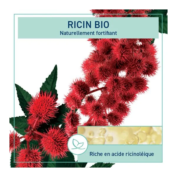 Huile de ricin sans parfum BIO - 100ml