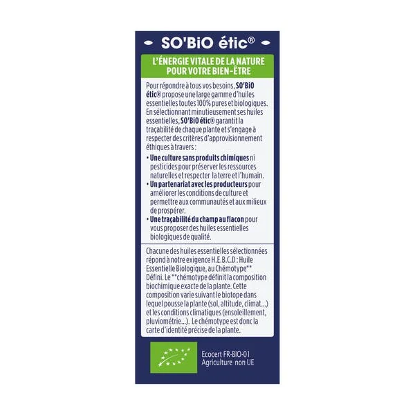 Huile essentielle Menthe douce Bio
