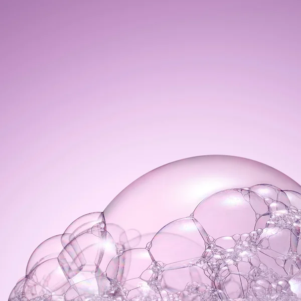 Le Shampooing Brillance Miroir