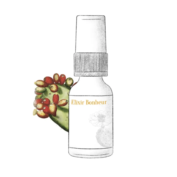 L'ODAÏTÈS - Elixir Bonheur Sérum Redensifiant Well Aging