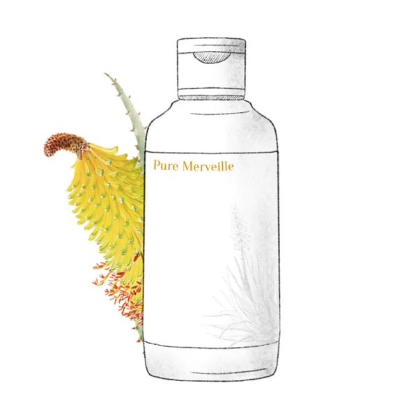 L'ODAÏTÈS - Pure Merveille Lotion démaquillante visage & yeux