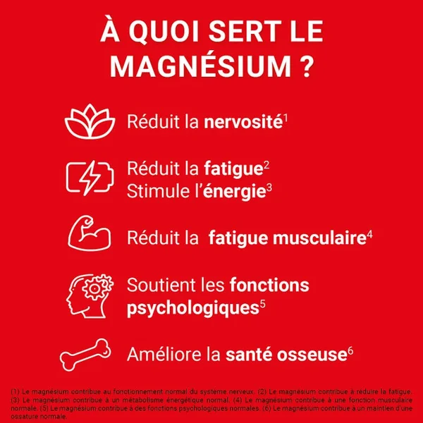 MAG 2 24H - Magnésium Marin, Vitamine B6 et Vitamine B12 - Anti-Nervosité et Anti-Fatigue, 2x40 Comprimés