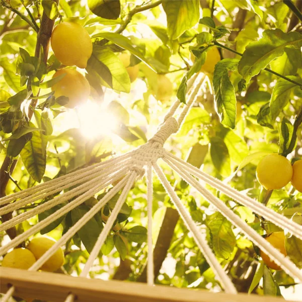 Maison Margiela - Replica Under the Lemon Trees Eau de Toilette