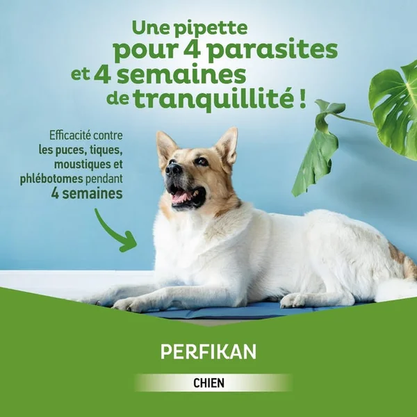 Perfikan Spot-On Anti-Parasitaires Externes 268mg/2400mg - Chiens de 20 à 40kg, 4 Pipettes