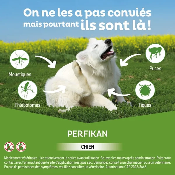 Perfikan Spot-On Anti-Parasitaires Externes 67/600mg - Chiens de 4 à 10kg, 4 Pipettes