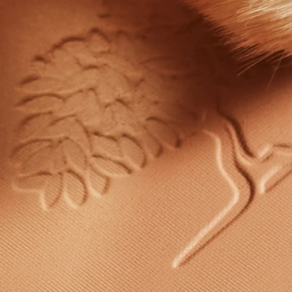 Poudre éclat Prodigieux®