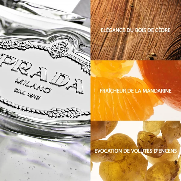 Prada - Les Infusions de Prada - Cèdre Eau de Parfum