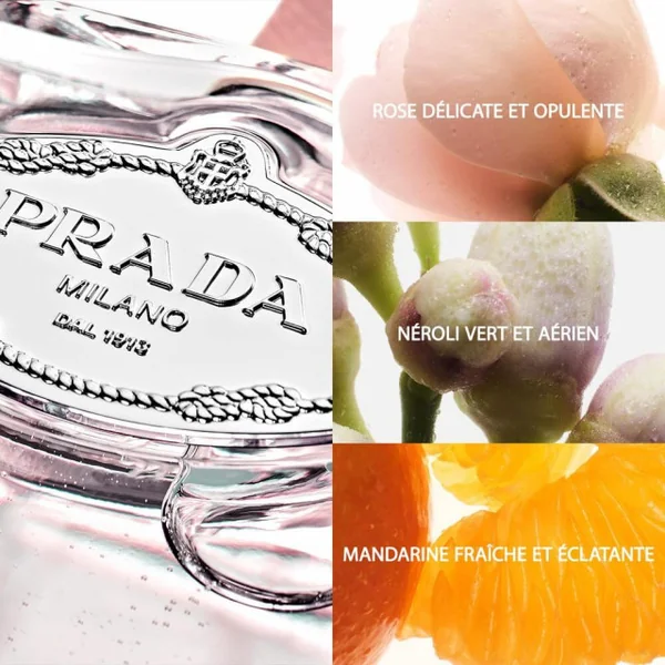 Prada - Les Infusions de Prada - Rose Eau de Parfum
