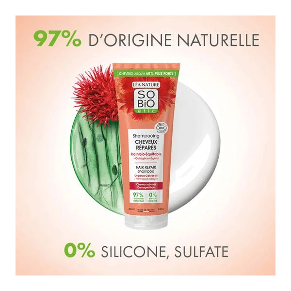Shampooing cheveux réparés