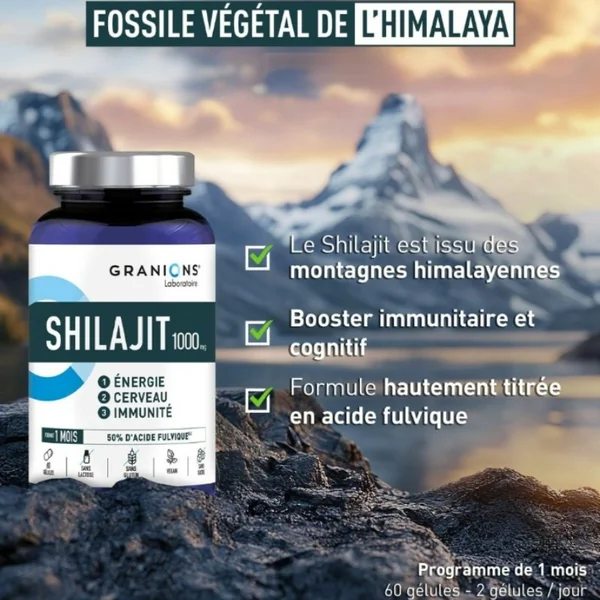 Shilajit • 1000 Mg • 60 gélules