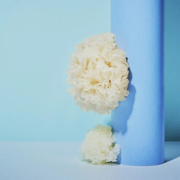 Shiseido - Lotion Gelée Rafraîchissante WASO