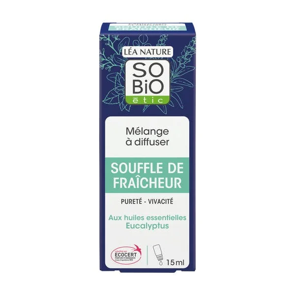 Souffle de fraîcheur aux huiles essentielles eucalyptus