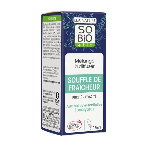 Souffle de fraîcheur aux huiles essentielles eucalyptus
