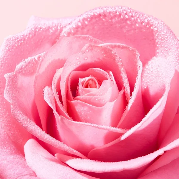 VERY ROSE - Eau Micellaire Démaquillante Apaisante - Visage et Yeux - Tous Types de Peaux, 100ml