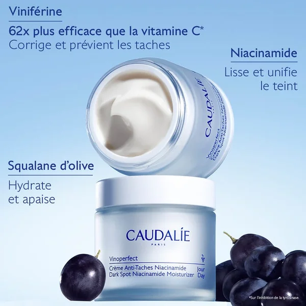 VINOPERFECT - Crème Jour Anti-Taches Niacinamide - Visage - Tous Types de Peaux, 50ml